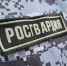 Росгвардейцы задержали подозреваемую в подделке документов в Солнечногорске - Regions.Ru