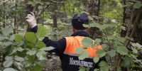 Спасатели разыскали двух женщин, заблудившихся в лесу под Солнечногорском - Regions.Ru