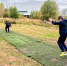 В Солнечногорске нашли применение для старого футбольного газона с «Авангарда» - Regions.Ru