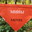 Юнармейцы Солнечногорска прошли «минное поле» во время военно-полевой игры - Regions.Ru