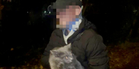 В Солнечногорске спасатели помогли кошке, застрявшей на дереве из-за поводка - Regions.Ru
