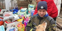 Спасатели и школьники Солнечногорска объединились для помощи животным - Regions.Ru